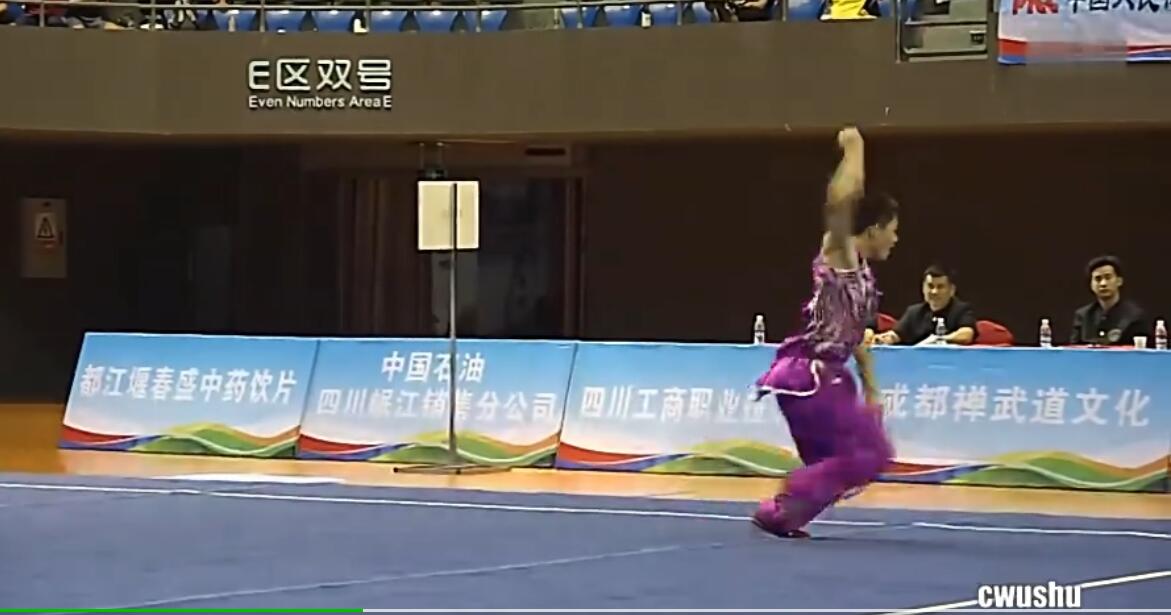 2016年全国武术套路锦标赛 男子南拳 035 张龙（重庆）