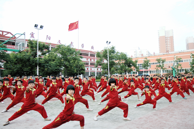 图片11.png