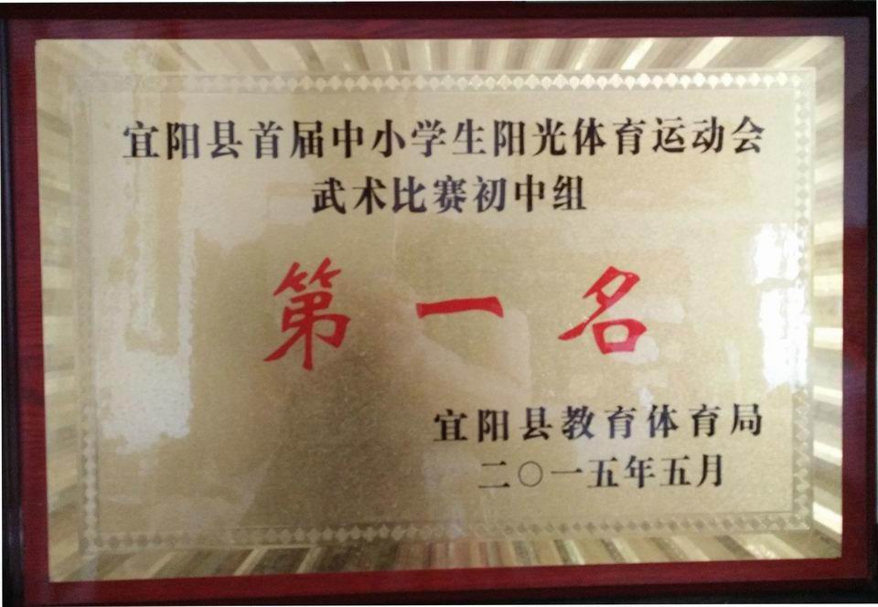 2015年宜阳县中小学生阳光体育运动会 (2)