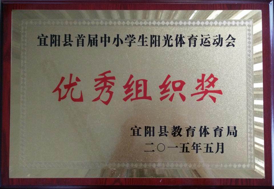 2015年宜阳县中小学生阳光体育运动会