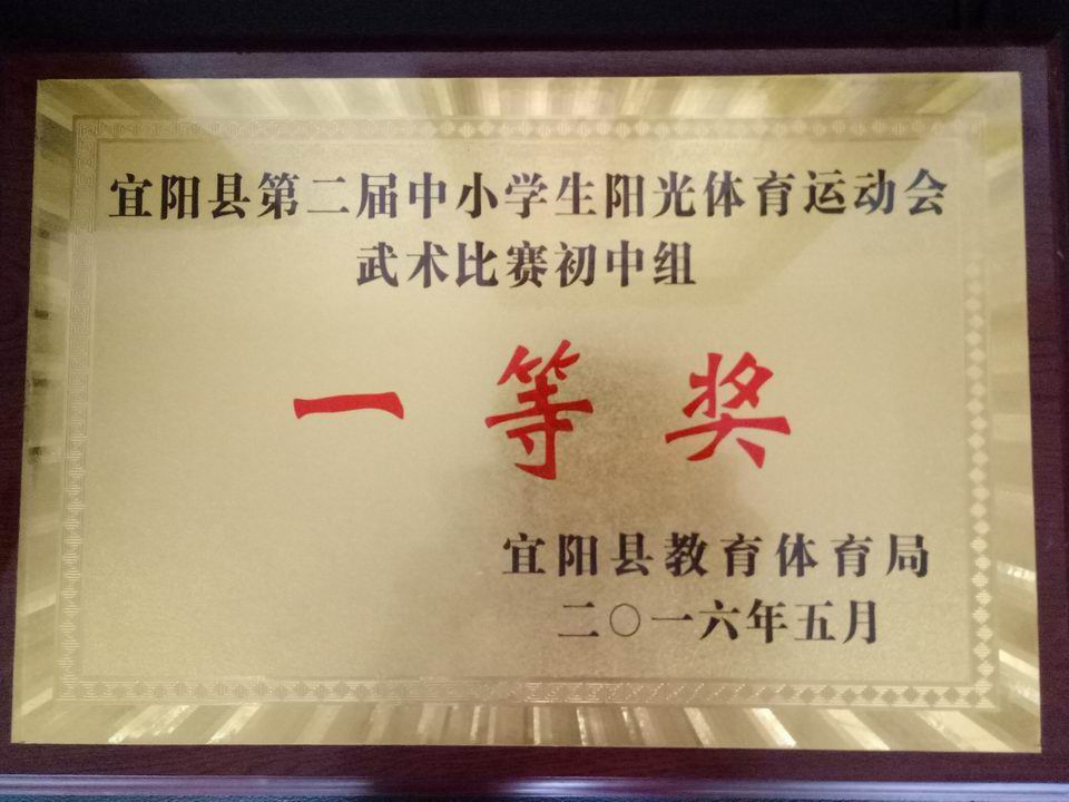 2016年宜阳县第二届中小学生阳光体育运动会武术比赛