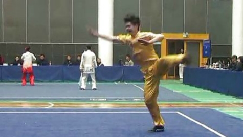 王会卿 通臂拳