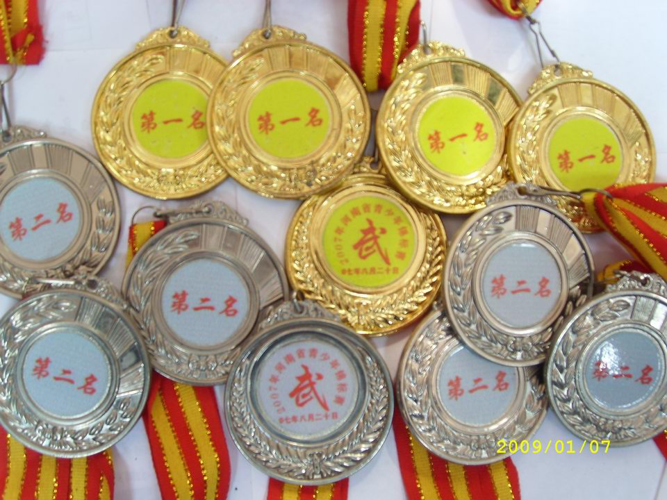 2008年河南省青少年锦标赛荣誉